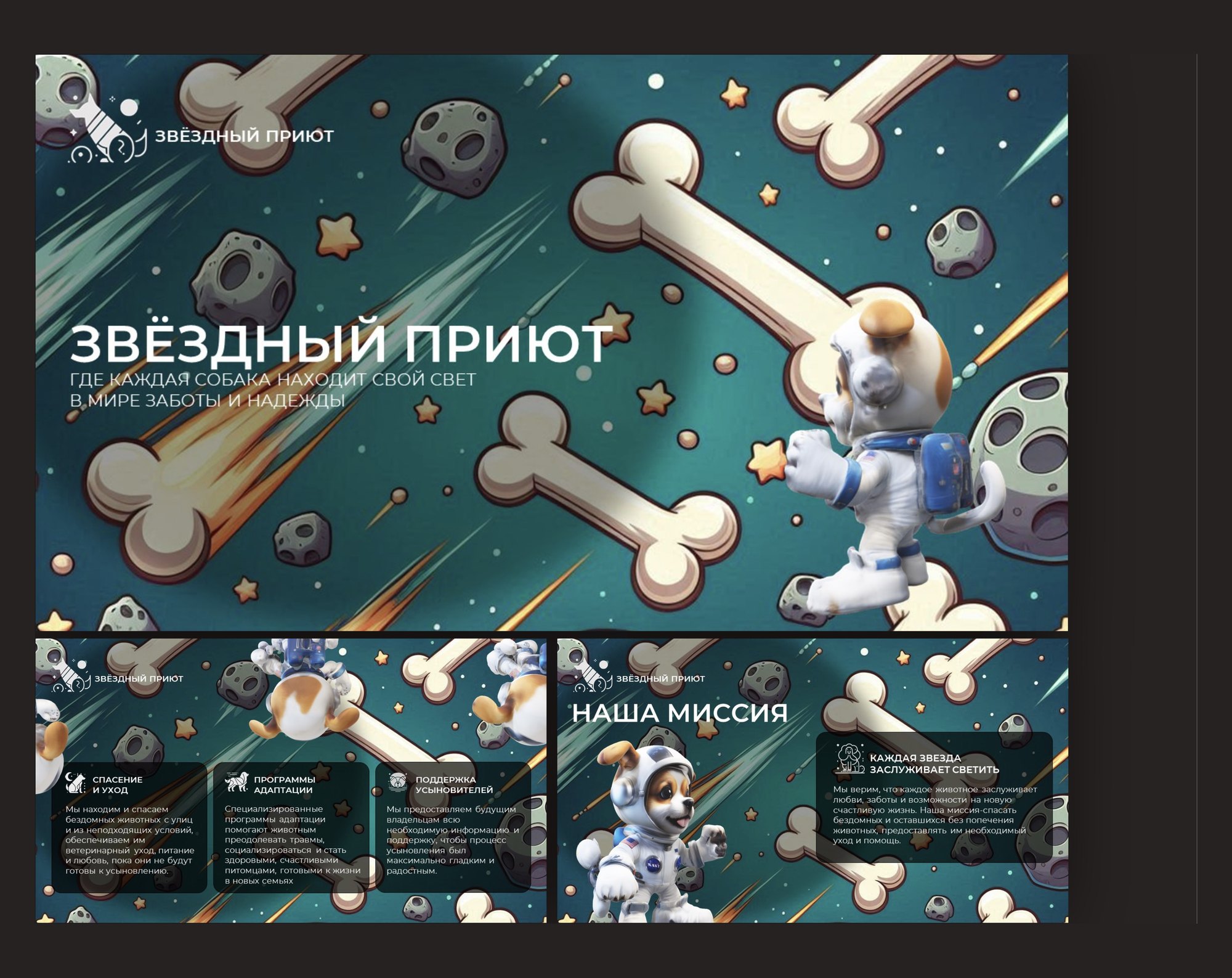 Презентация собачьего приюта «Звёздный приют»